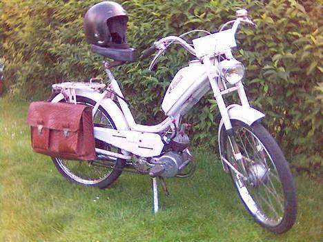 Sco Populær, Hamilton. billede 11