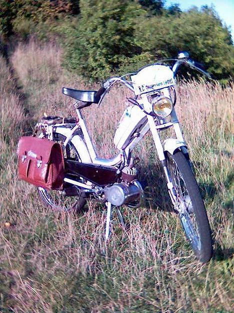 Sco Populær, Hamilton. billede 15