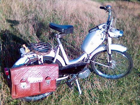 Sco Populær, Hamilton. billede 16