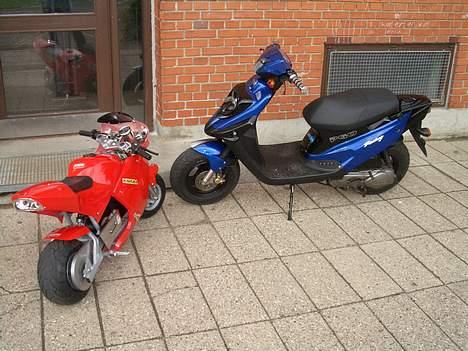 PGO hot 50 SOLGT billede 7