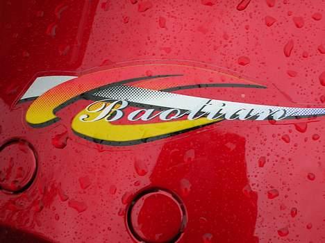 Vespa Baotian - Solgt - Baotian mærket billede 7