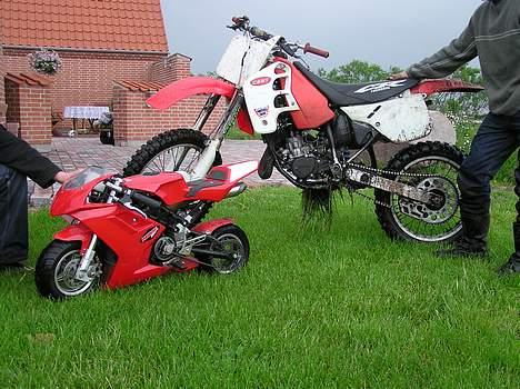 Gilera Stalker billede 9