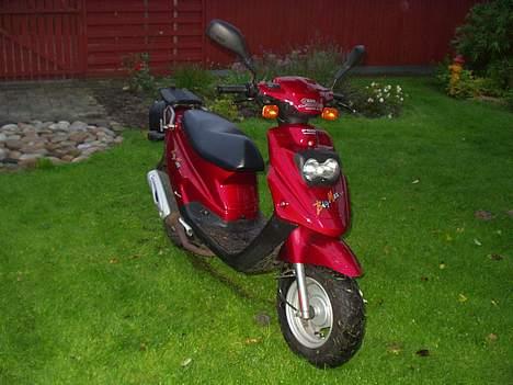 PGO big max billede 1