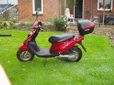 PGO big max billede 4