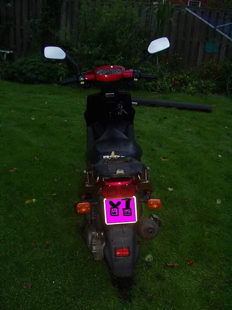 PGO big max billede 7