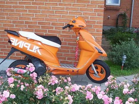 Honda sfx"det orange lyn" - min SFX  nu med heksbøjle! billede 15