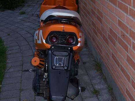 Honda sfx"det orange lyn" - bagfra med heksbøjle! billede 16