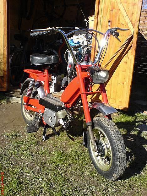 Garelli Katia billede 1