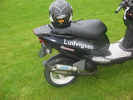 PGO Dr. Big  - solgt billede 12