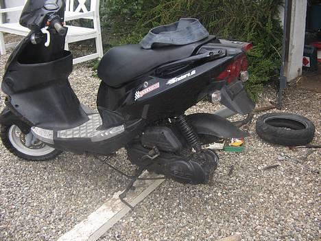 PGO Dr. Big  - solgt - Ehm tja mit baghjul platsede :( - så smid lige en slange i hjulet billede 14