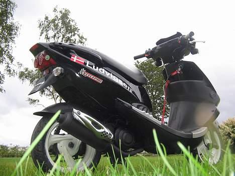 PGO Dr. Big  - solgt billede 15