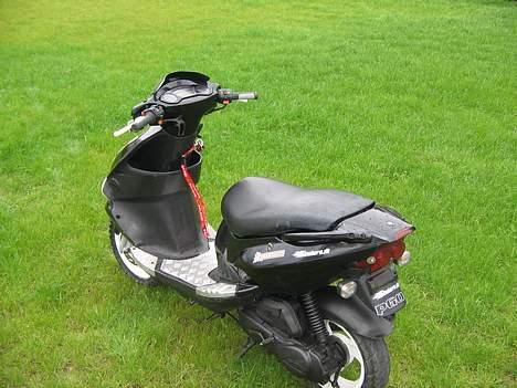 PGO Dr. Big  - solgt billede 17