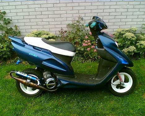 Honda SFX AC "Vilddyret" billede 3