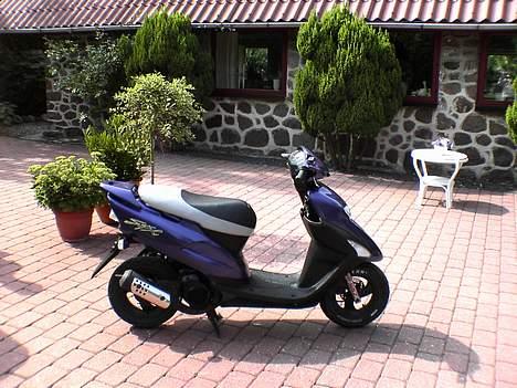 Honda sfx slogt billede 4
