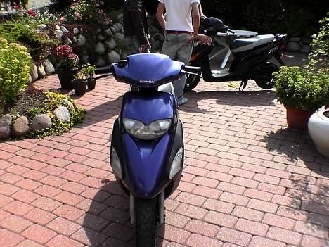 Honda sfx slogt billede 5