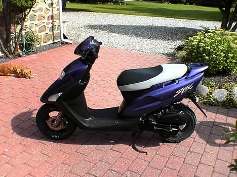 Honda sfx slogt billede 6