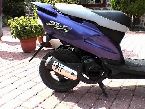 Honda sfx slogt billede 10