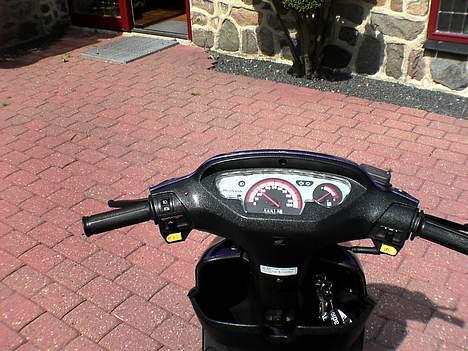 Honda sfx slogt billede 11