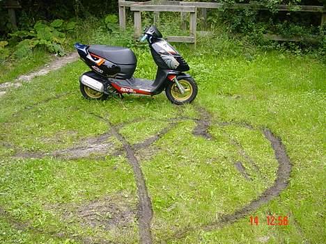 Aprilia sonic GP - brænder:-b billede 6