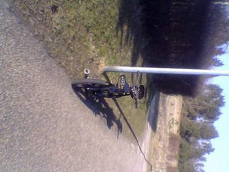 Puch Maxi | SOLGT | billede 7