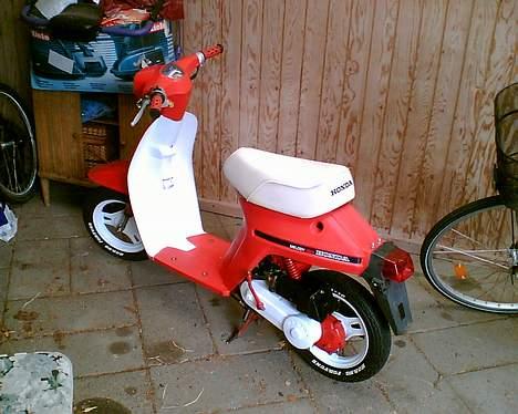 Honda Melody - Læg mærke til det hvide på skjoldet billede 3