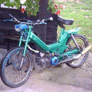 Puch maxi kl  (SOLGT)