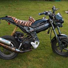 Suzuki Street magic solgt