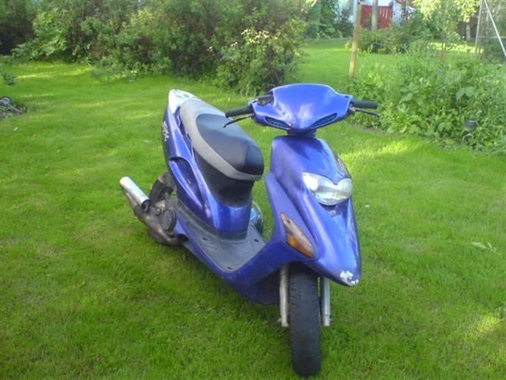 Honda sfx før - år2006 billede 5