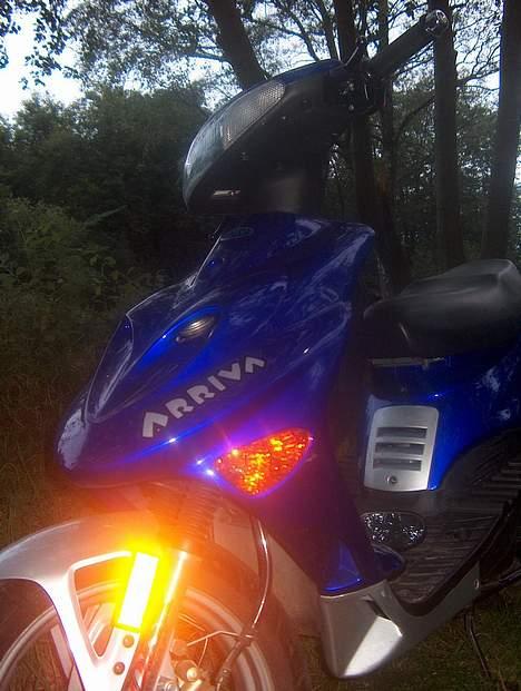 Adly Arriva billede 4