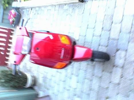 Piaggio Zip Det Røde Lyn billede 15