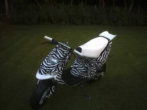 Gilera Stalker (solgt) billede 4