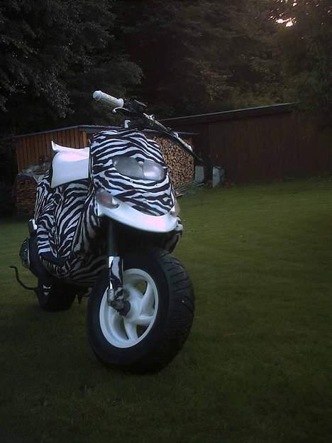 Gilera Stalker (solgt) billede 6