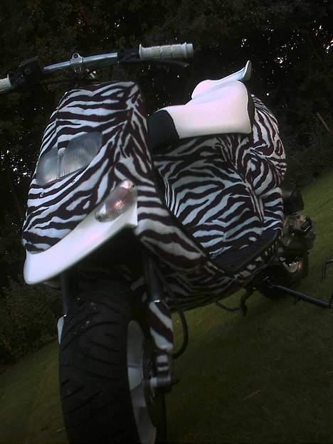 Gilera Stalker (solgt) billede 9