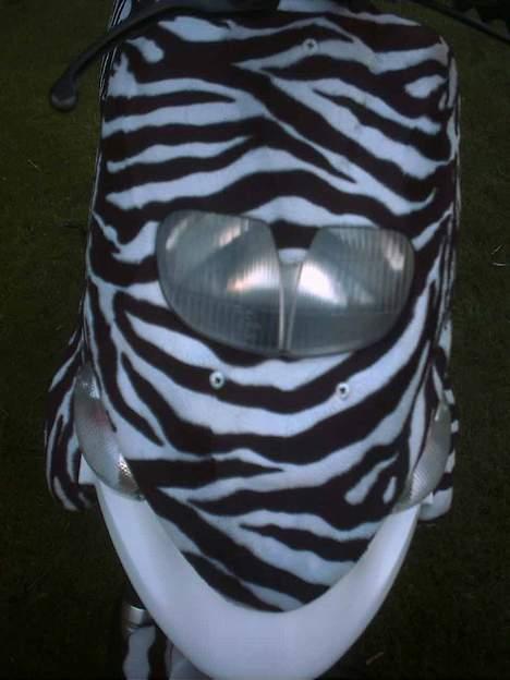 Gilera Stalker (solgt) billede 10