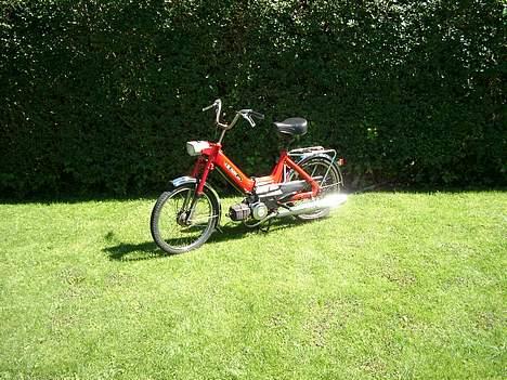 Puch Maxi billede 3