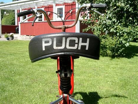 Puch Maxi billede 6