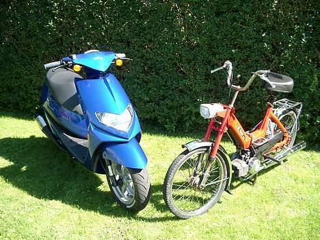 Puch Maxi billede 8