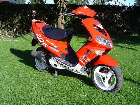 Peugeot Speedfight 206 WRC billede 2