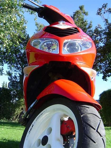 Peugeot Speedfight 206 WRC billede 3