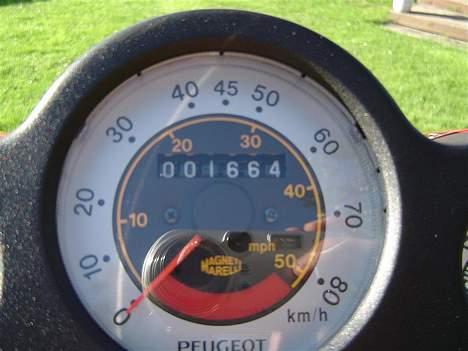 Peugeot Speedfight 206 WRC billede 6