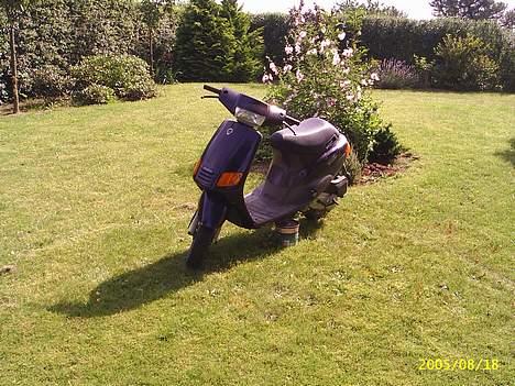 Piaggio zip ( solgt ) billede 1