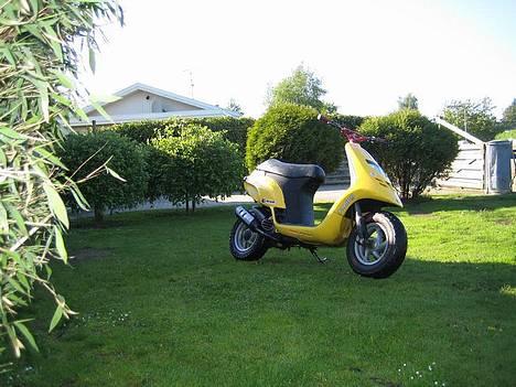 Piaggio Typhoon- Solgt billede 17