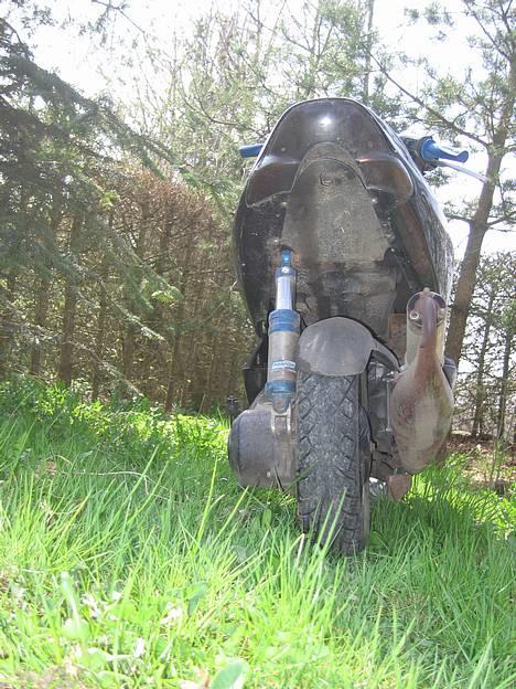 Aprilia SONIC SOLGT billede 12