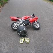 MiniBike Daytona -Smadret..