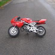 MiniBike Daytona -Smadret..