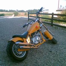 MiniBike chopper