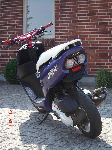 Honda SFX billede 7