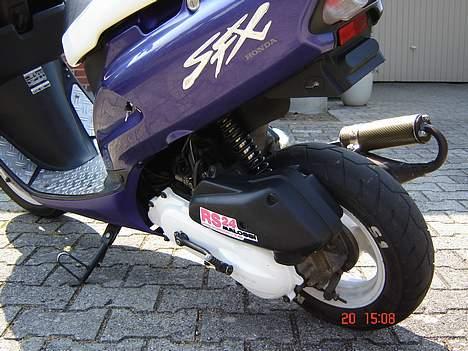 Honda SFX billede 9