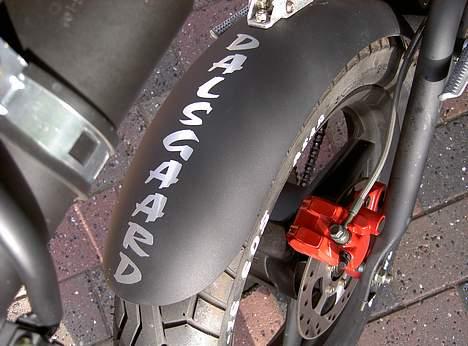 Sachs MadAss  SOLGT - lidt sejt at have sit efternavn på bagskærmen ;)  billede 14