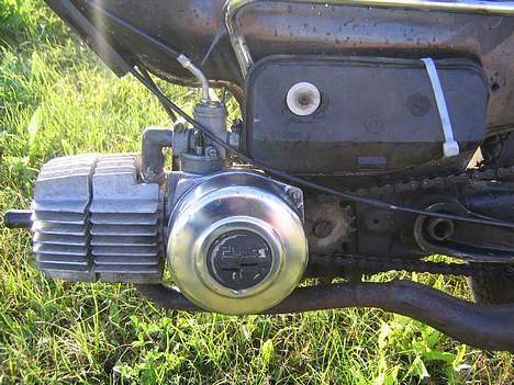 Puch Maxi kl billede 6